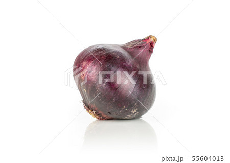 Stale red onion isolated on white Stale red onion isolated on white 55604013