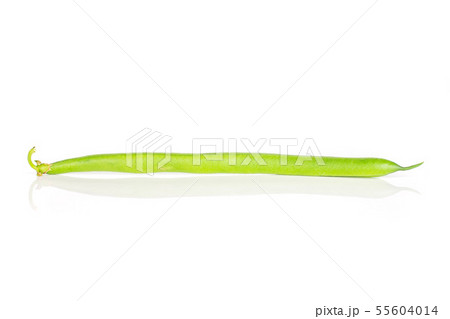 Fresh green bean isolated on white Fresh green bean isolated on white 55604014