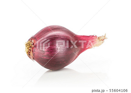 Stale red onion isolated on white Stale red onion isolated on white 55604106