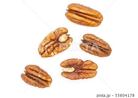 Fresh pecan nut isolated on white 55604178