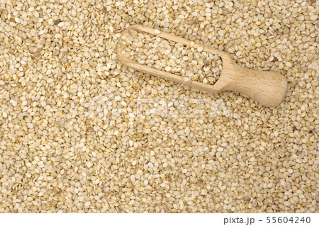 Unpeeled sesame seeds isolated 55604240