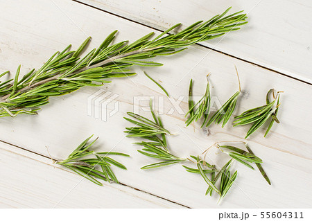 Fresh rosemary herb on grey wood Fresh rosemary herb on grey wood 55604311