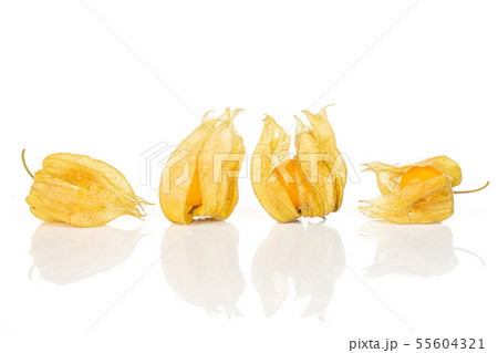 Fresh orange physalis isolated on white 55604321
