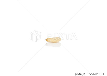 Unpeeled sesame seeds isolated on white Unpeeled sesame seeds isolated on white 55604581