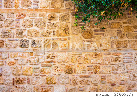 Stone ancient wall on which the plant grows Stone ancient wall on which the plant grows 55605975