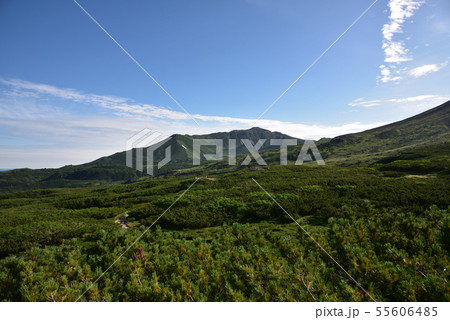 北海道の旭岳 55606485