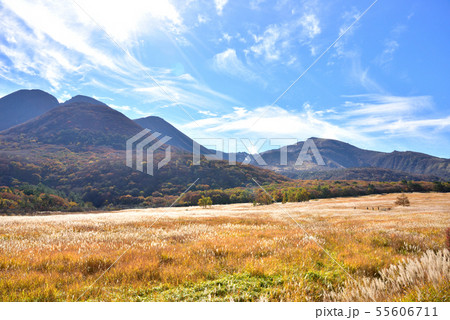 くじゅう長者原からの三俣山1745m タデ原湿原自然研究路 秋色のくじゅう連山 くじゅう長者原からの三俣山1745m タデ原湿原自然研究路 秋色のくじゅう連山 55606711