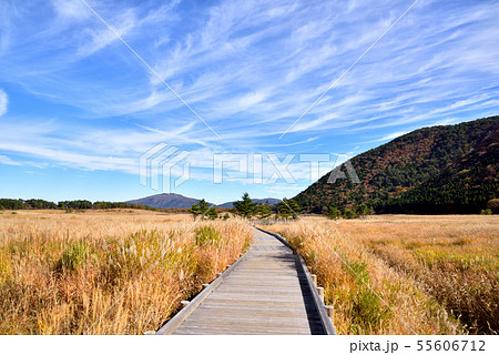 くじゅう長者原からの三俣山1745ｍ　タデ原湿原自然研究路　秋色のくじゅう連山 55606712