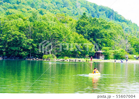 夏の和琴半島　弟子屈町 55607004