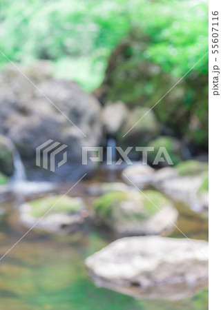 水辺の背景 水辺の背景 55607116