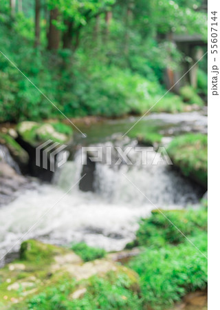 水辺の背景 水辺の背景 55607144