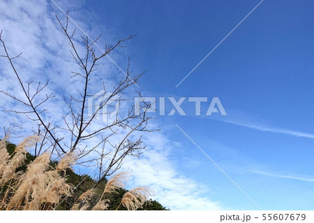 青空 秋空 秋天 グラデーション 雲 空 青空 秋空 秋天 グラデーション 雲 空 55607679