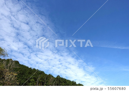 青空　秋空　秋天　 グラデーション　雲　空 55607680