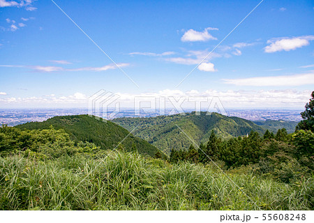 東京都　明治の森高尾国定公園　小仏城山の山頂から都心方面の眺め 55608248