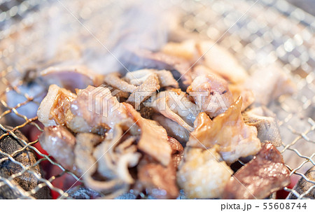 ミックスホルモン・_バーベキュー・BBQ・bbq・炭火焼・網焼・備長炭・七輪・キャンプ・食事・食べ物 ミックスホルモン・_バーベキュー・BBQ・bbq・炭火焼・網焼・備長炭・七輪・キャンプ・食事・食べ物 55608744