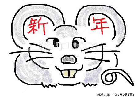 2020干支 2020干支 55609288