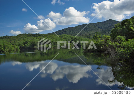 池に映る山と雲 55609489