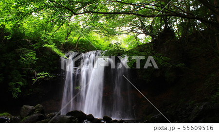 乙女の滝那須 55609516