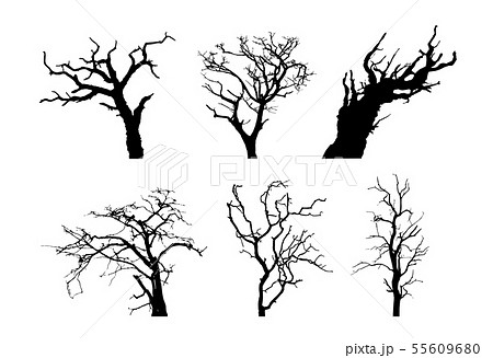 枯れ木 葉のない木 シルエットイラスト ハロウィン用素材 冬イメージ素材 Etc のイラスト素材