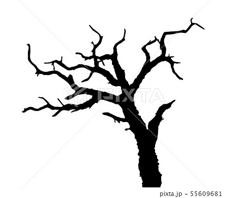 枯れ木 葉のない木 シルエットイラスト ハロウィン用素材 冬イメージ素材 Etc のイラスト素材 55609681 Pixta
