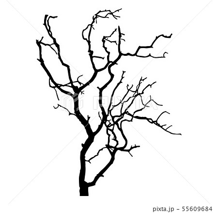 枯れ木 葉のない木 シルエットイラスト ハロウィン用素材 冬
