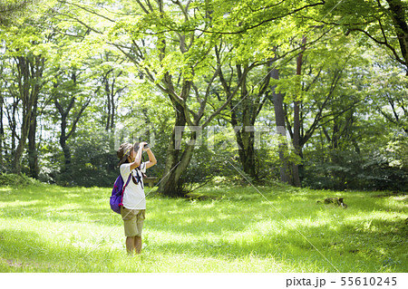 バードウォッチングをする小学生女の子 55610245