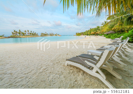 Amazing island in the Maldives ,Beautiful 55612181