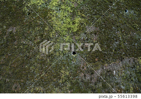 コンクリート コンクリート 55613398