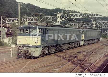 在りし日の信越本線横川機関区のEF63 在りし日の信越本線横川機関区のEF63 55614123