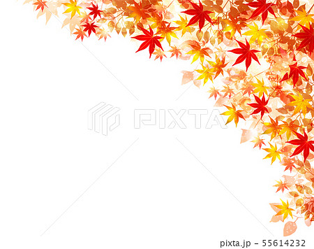 紅葉 もみじ 葉 背景 のイラスト素材