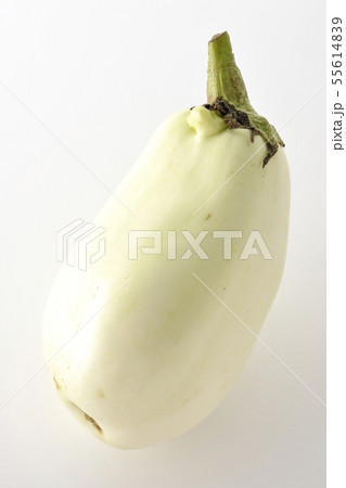 白茄子 白茄子 55614839