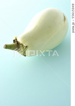 白茄子 白茄子 55615049