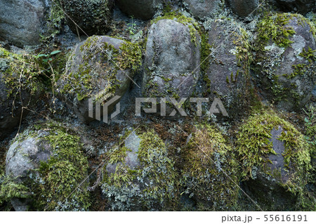 石 コンクリート 石 コンクリート 55616191