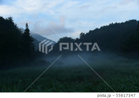 早朝の黒澤湿原 早朝の黒澤湿原 55617347