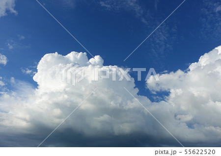 夏空イメージ 夏空イメージ 55622520