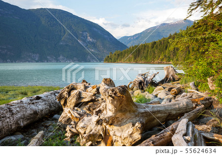 Bella Coola 55624634
