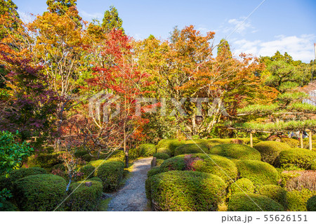 秋の滋賀 湖東三山 西明寺 蓬來庭 秋の滋賀 湖東三山 西明寺 蓬來庭 55626151