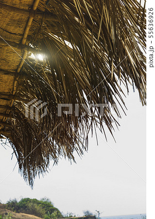 Bottom view roof from dry leaves of coconut palm Bottom view roof from dry leaves of coconut palm 55636926