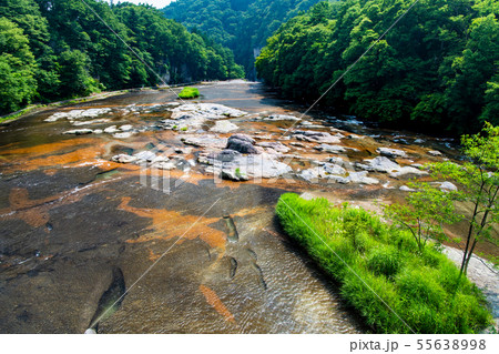 群馬県 吹割の滝 千畳敷 55638998