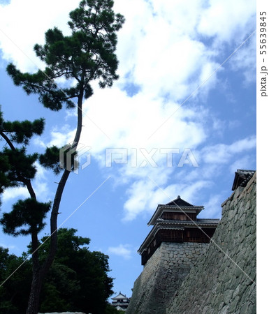 松山城：四国の代表的城郭　連立式平山城 55639845
