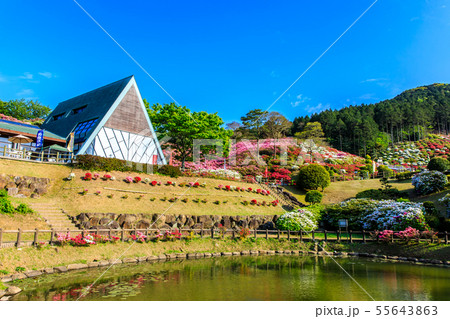 長串山公園つつじまつり　【長崎県佐世保市鹿町町】 55643863