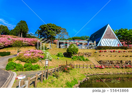 長串山公園つつじまつり　【長崎県佐世保市鹿町町】 55643866