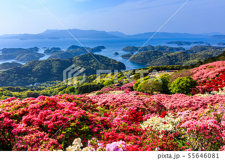 長串山公園つつじまつり　九十九島を望む　【長崎県佐世保市鹿町町】 55646081