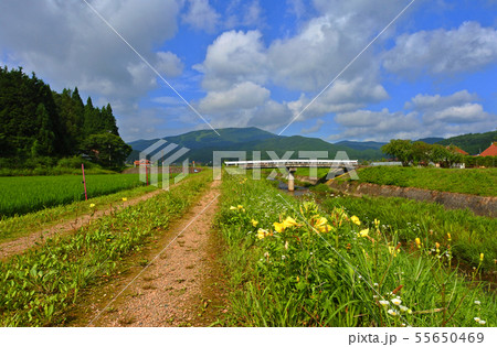 夏の里山の道 55650469