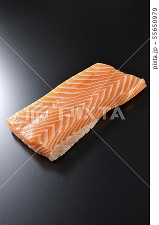 サーモン 55650979