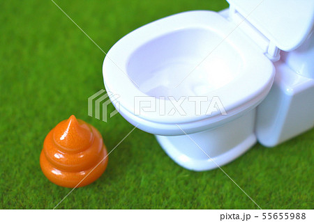 トイレとうんち　便意を我慢するイメージ 55655988