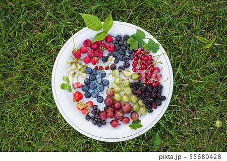 different kinds on berries on white plate different kinds on berries on white plate 55680428
