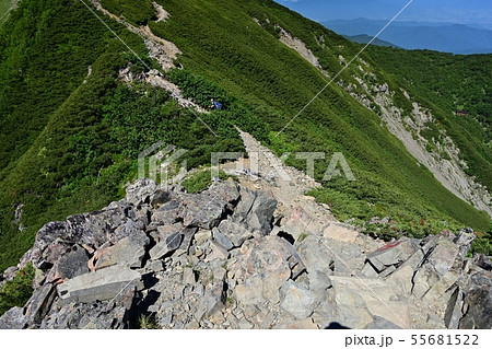 小仙丈ケ岳から仙丈ケ岳へ向かう登山道の岩下り 55681522