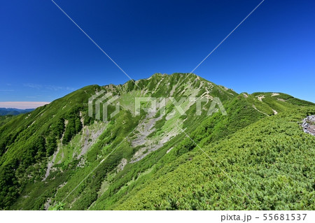 仙丈ケ岳の大仙丈沢カール② 仙丈ケ岳の大仙丈沢カール② 55681537