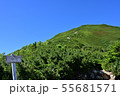 仙丈ケ岳の登山道から望む小仙丈ケ岳の山頂 55681571